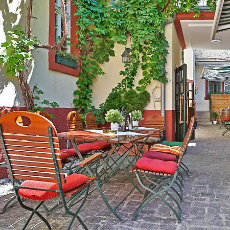 Lamm Heidelberg