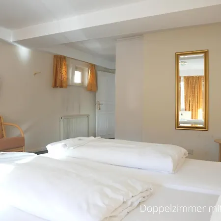 Hotel Lamm 4*