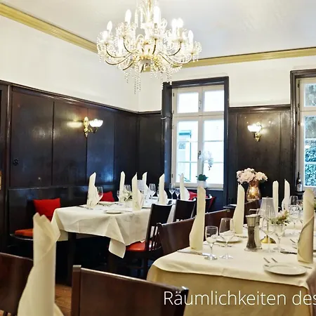 Lamm Heidelberg