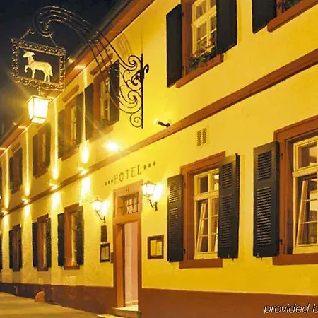 海德堡达斯拉姆酒店 酒店 海德堡